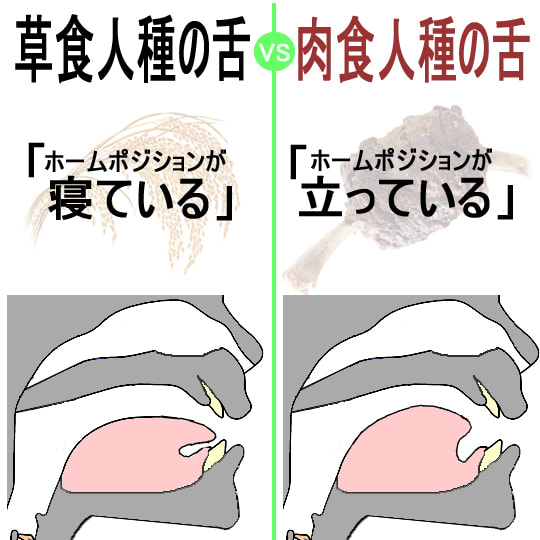 迷走するローマ字教育論 ─── 地に足つかぬ、そんな中途半端な「ローマ字学習」なら、導入しない方が良い。の画像