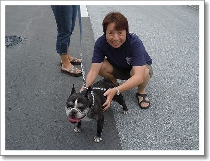犬のいる生活 八王子発信