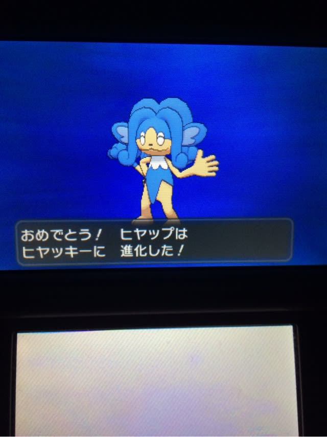 いろちがい ヒヤッキー やま うみ