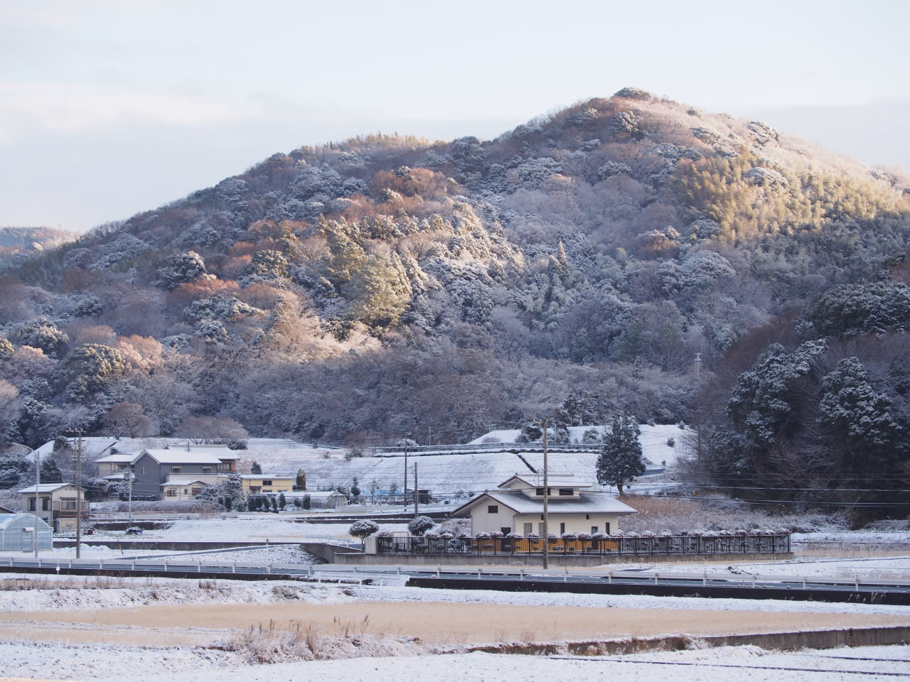 雪の朝②の画像