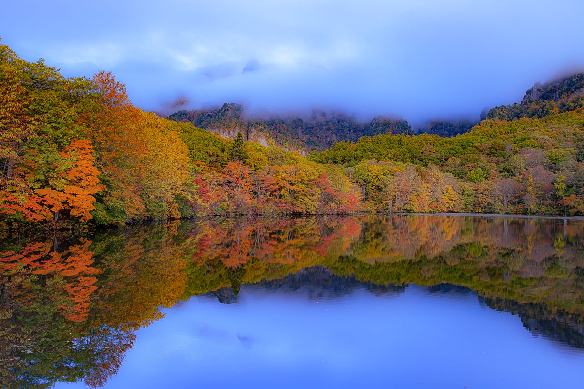 鏡池の紅葉の写真