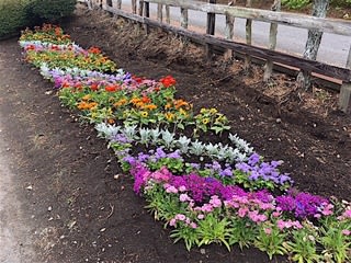 動きのあるガーデンデザイン 花のたより 山のふみ 青森県立名久井農業高等学校