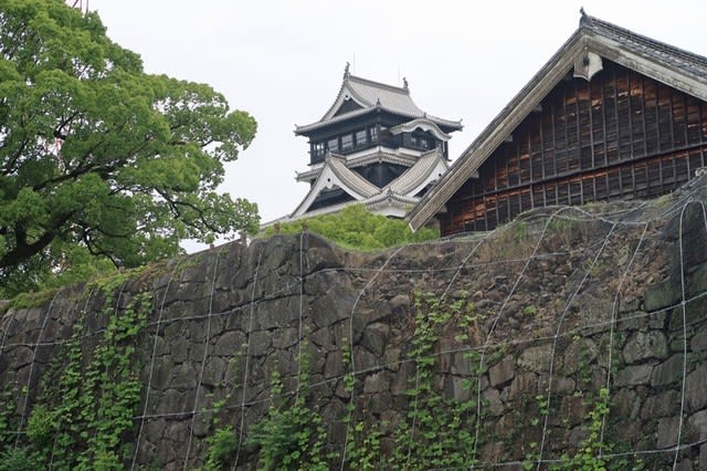 熊本城の「今」を「特別見学通路」から見に行った【熊本の話題】 - 鉄 