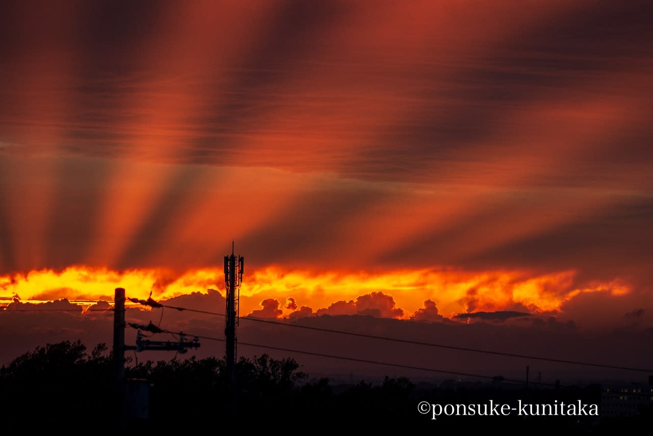秋の夕暮れ時 重症筋無力症に負けてたまるか 秋の夕暮れ時 重症筋無力症に負けてたまるか