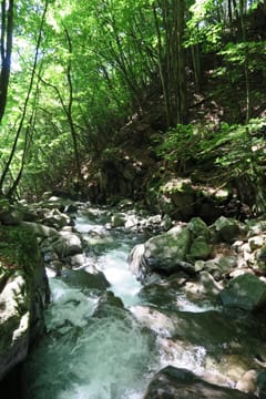 徳和渓谷 夢窓の滝 山梨県山梨市 滝と渓谷