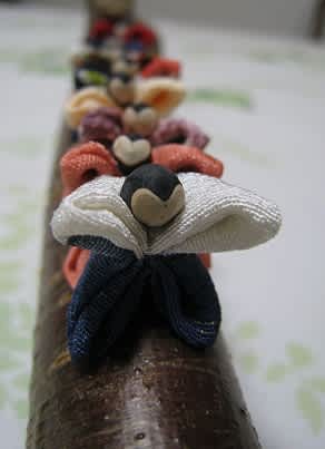 九猿 くさる 風船かずらの種 さぎそうのつぶやき 九猿 くさる 風船かずらの種 さぎそうのつぶやき