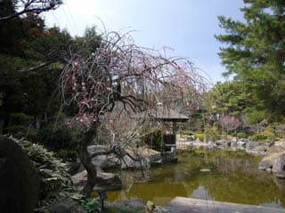 加古郡稲美町中央公園・万葉の森の写真