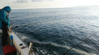 No 691 厳寒期の 沖メバル サビキ 磯治の釣り日記 No 691 厳寒期の 沖メバル サビキ 磯治の釣り日記