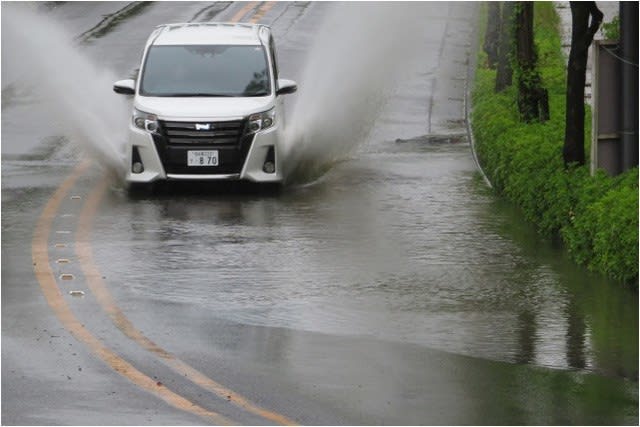 18 5 13 日 水たまりができた Bessa Lの写真手帳 18 5 13 日 水たまりができた Bessa Lの写真手帳