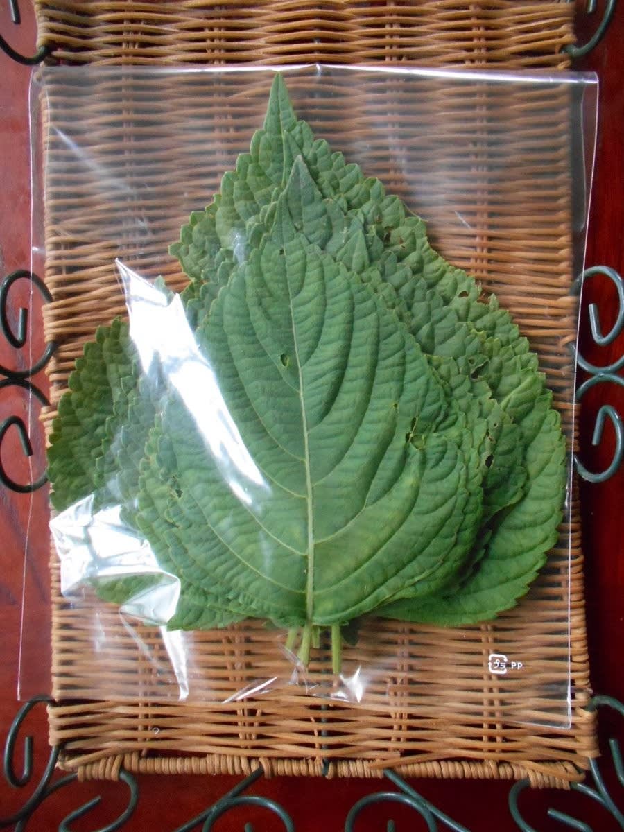 じねん道の農産物:紹介⑥】『エゴマ(荏胡麻)の葉&実(=種子 じねん道の農産物:紹介⑥】『エゴマ(荏胡麻)の葉&実(=種子