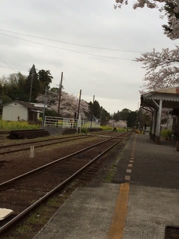 20150404_里見駅_8.JPG