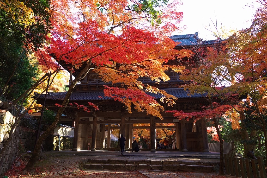 永源寺 Eigenji JapaneseClass.jp