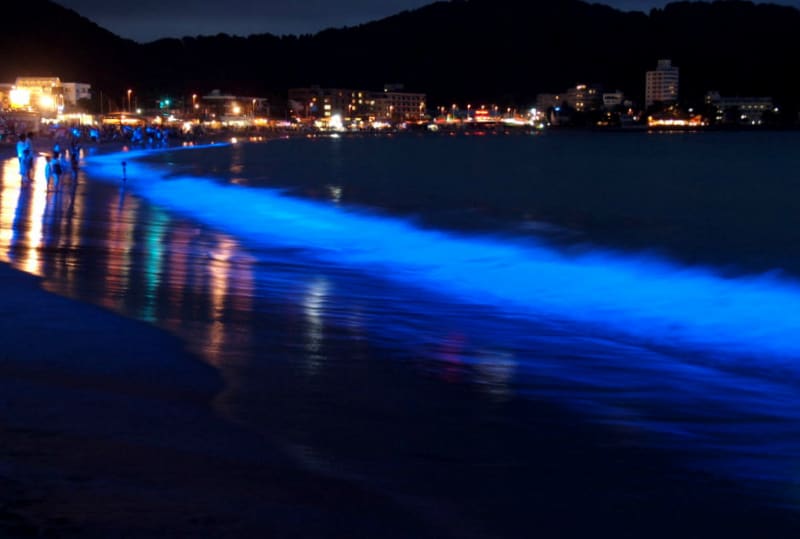 青く光る波 Night Wave 逗子海岸 16 四季の風景
