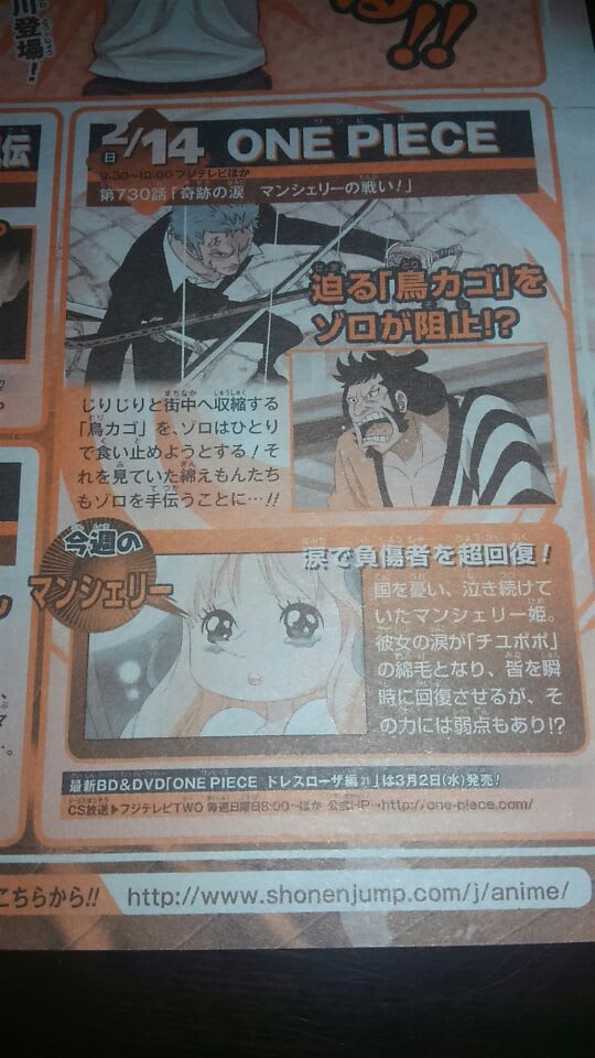 One Piece 第730話 奇跡の涙 マンシェリーの戦い 蝶の迷宮 再装填奇譚