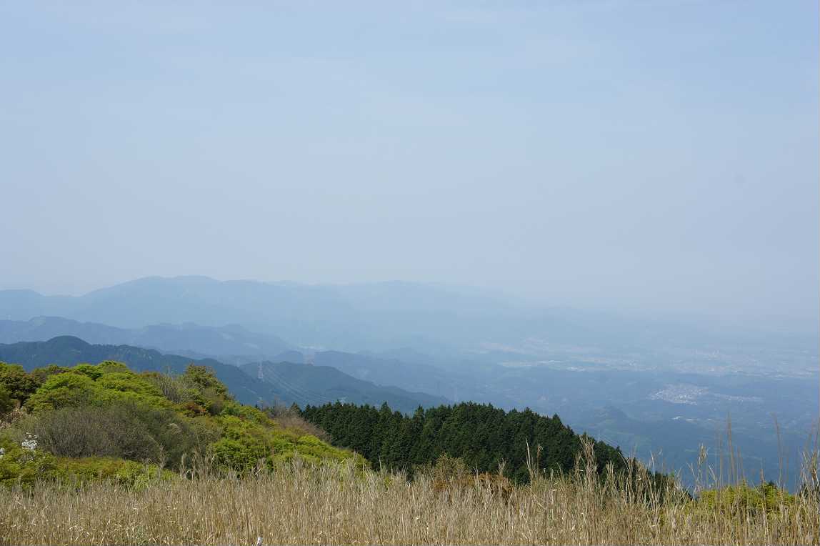 0 天狗谷道から葛城山 太尾道から金剛山 水越峠 サランヘヨ 登山 0 天狗谷道から葛城山 太尾道から金剛山 水越峠 サランヘヨ 登山