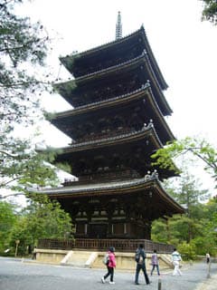 仁和寺の写真