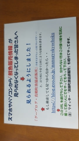 引越しを決意しました。 - 真鶴町漁協直販所