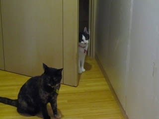イメージ 2