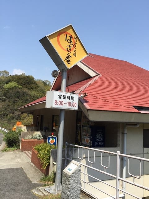イメージ 8