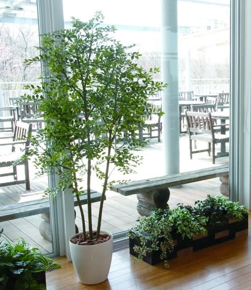 カフェ風 人工観葉植物樹木 造花フェイクグリーン設置画像