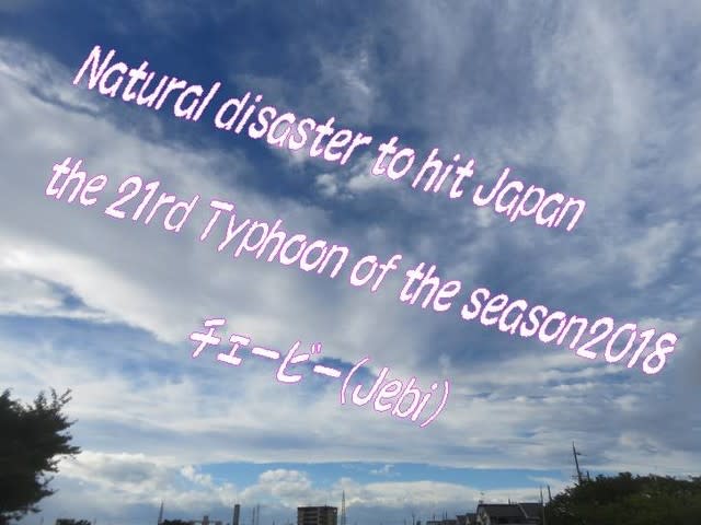  第3室戸台風～？・・・ヤバい！Natural disaster to hit Japan・・・typhoon備える意識は本当にあるの？ - 環境ボランティア・いげのやま美化クラブ
