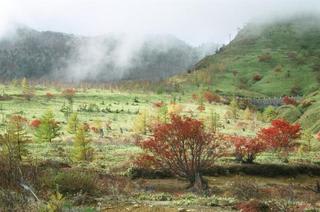 紅葉を求めて 山岳ドライブ 草津白根山 へ 花と緑を追いかけて