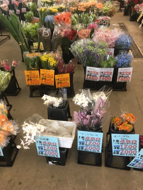 4月24日 切り花入荷 ビックフラワー環八荻窪店のお花屋さんブログ