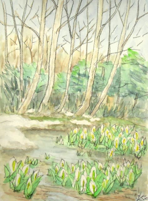 八幡平の水芭蕉 かしょうの絵と雑記 八幡平の水芭蕉 かしょうの絵と雑記