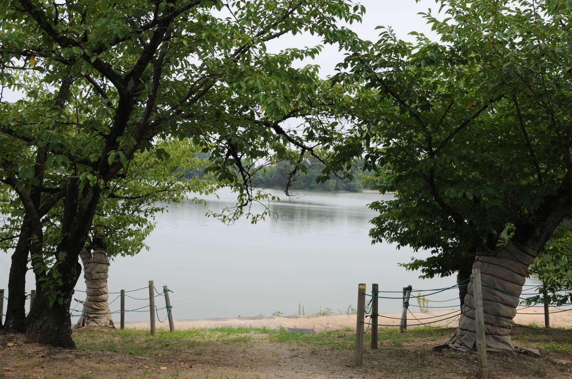 真昼の洲原公園！の画像