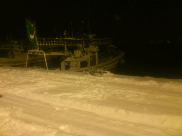 積丹ブルー 幌武意沖にサクラマスちゃん・・・痛・痛・痛てて 北海道seamaster積丹ブルー