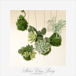 苔玉 多肉植物 大阪府茨木市ｄｅｃｏクレイクラフト教室 アトリエ ララクレイ Atelier Clay Party