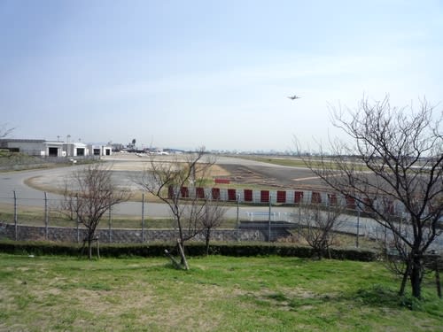 空港公園1