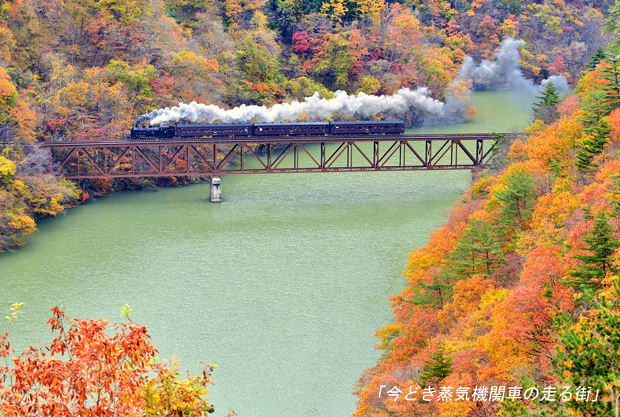 14年 11月9日 只見線 会津宮下 早戸間 Sl只見線紅葉号 今どき蒸気機関車の走る街