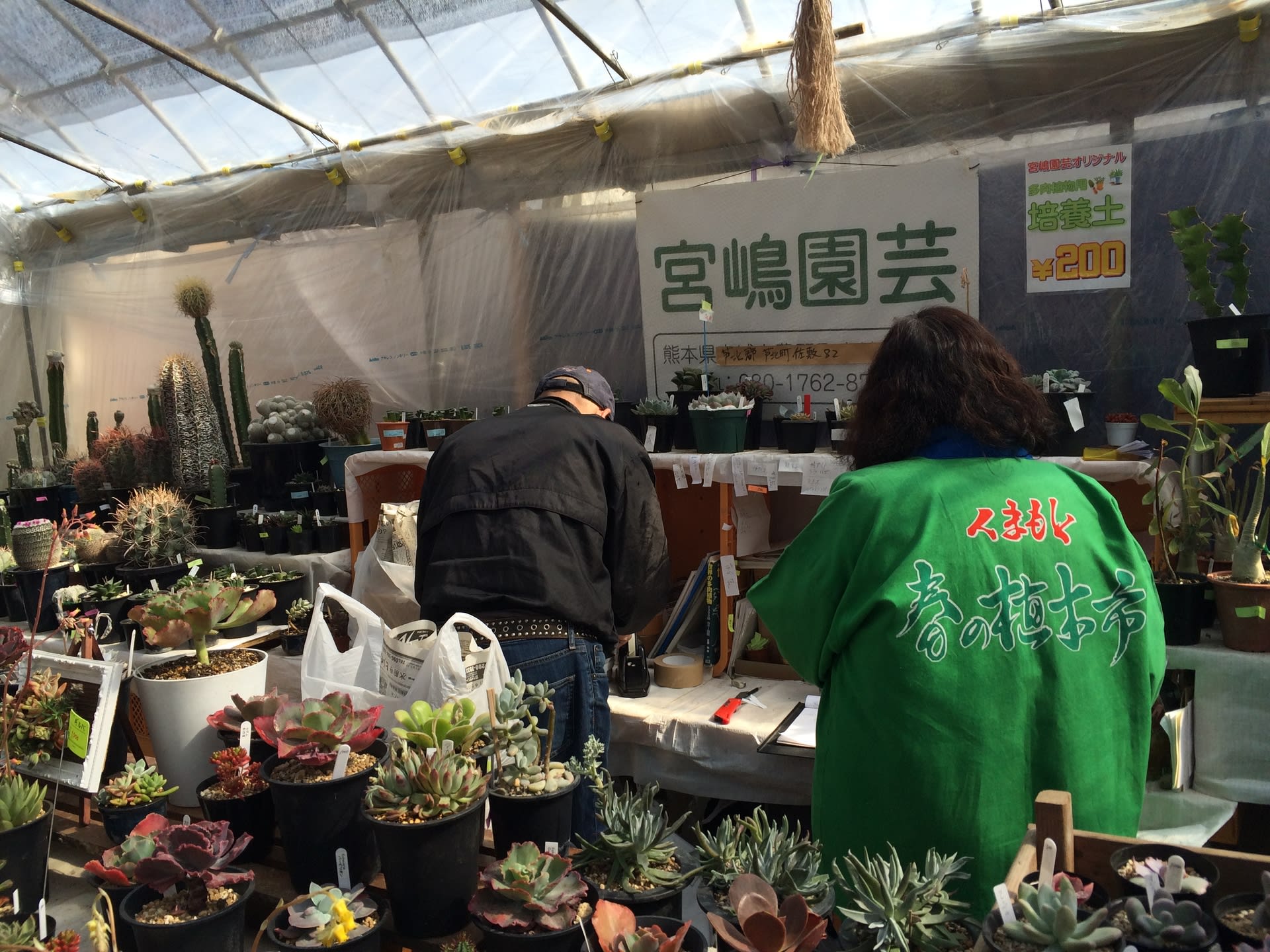 宮嶋園芸さんで多肉狩り 今季最後 熊本春の植木市 3月10日火曜日まで ほぼ多肉 ちょっとサボテンとベランダガーデン 宮嶋園芸さんで多肉狩り 今季最後 熊本春の植木市 3月10日火曜日まで ほぼ多肉 ちょっとサボテンとベランダガーデン