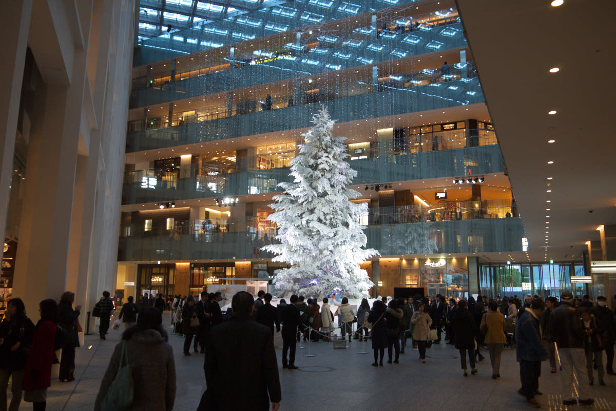 １２月の東京駅 キッテ丸の内内の日本最大級のクリスマスツリー 緑には 東京しかない