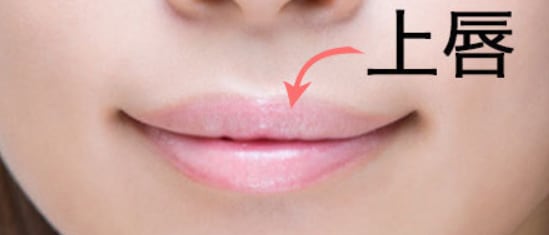 上唇上・下唇上・口角・口の下にあるほくろの意味と運勢 | 龍ちゃんです。のブログ