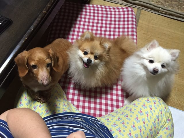 wanwan20160906003.jpg