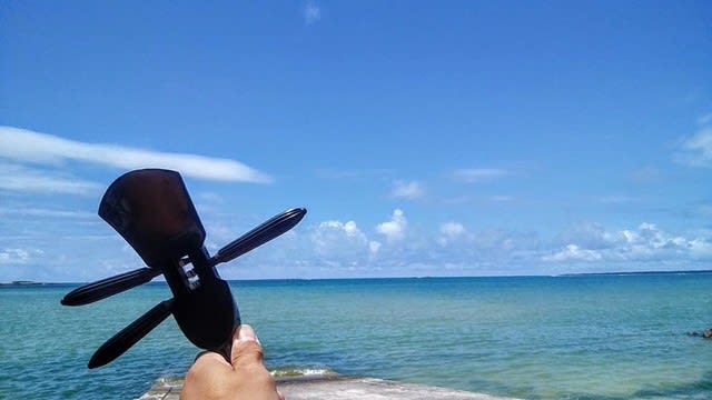 気まぐれ石垣島の旅 福岡de三線 てーげー日記