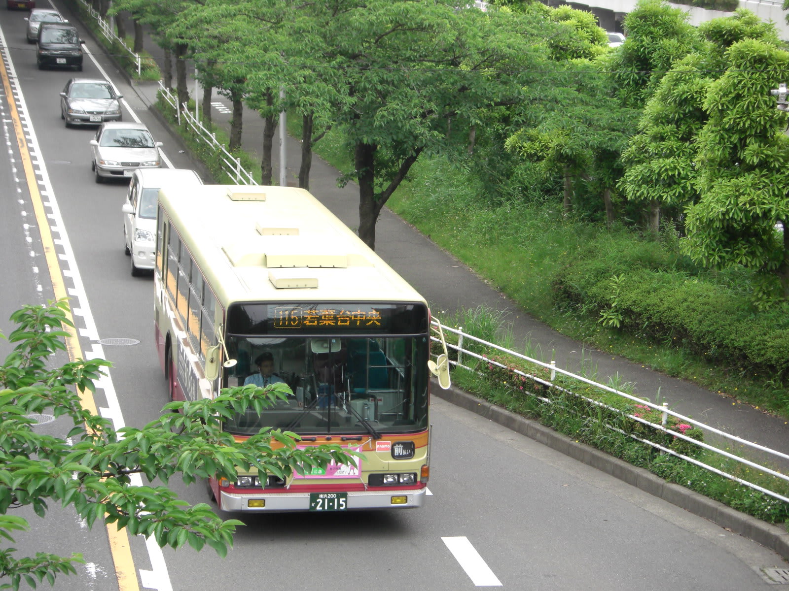 １１５系統 若葉台中央 鶴ヶ峰駅 かなちゅうバス全線制覇の記録