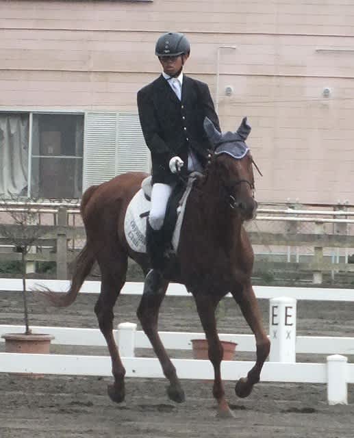 ❤値下げ事業❤ MANFREDI ジャケット 乗馬 試合 カバロ 馬術 競技