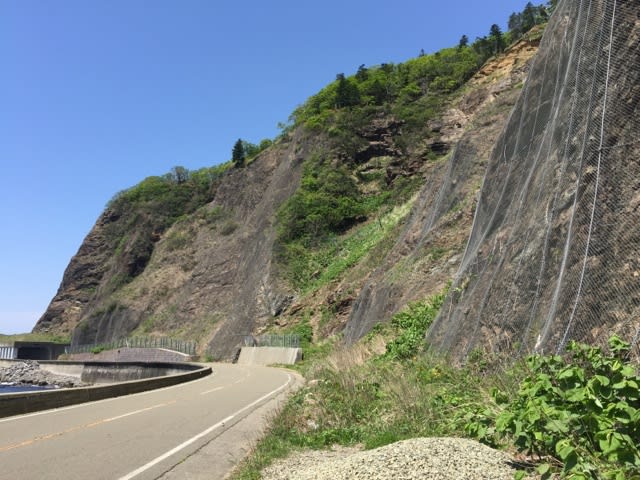 ここ2週間ほどでいっきに新緑が広がって来ました。 - 北海道のしっぽ