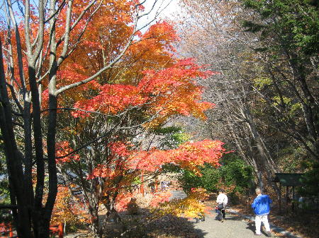 中禅寺の紅葉