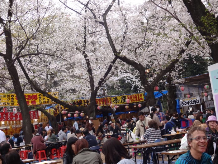 靖国神社の桜 無心