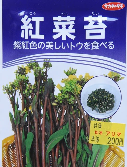 紅菜苔（コウサイタイ）種袋