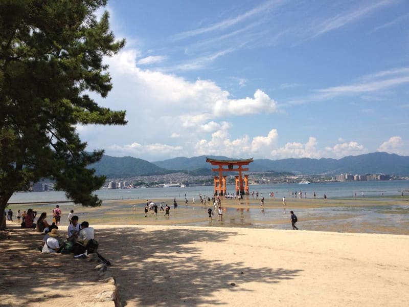 Photo_10 Photo_10