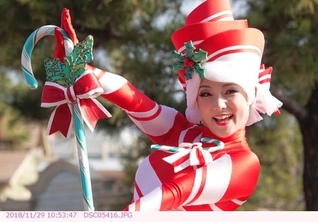 ダンサー ディズニー クリスマス ストーリーズ 東京ディズニーランド 都内散歩 散歩と写真