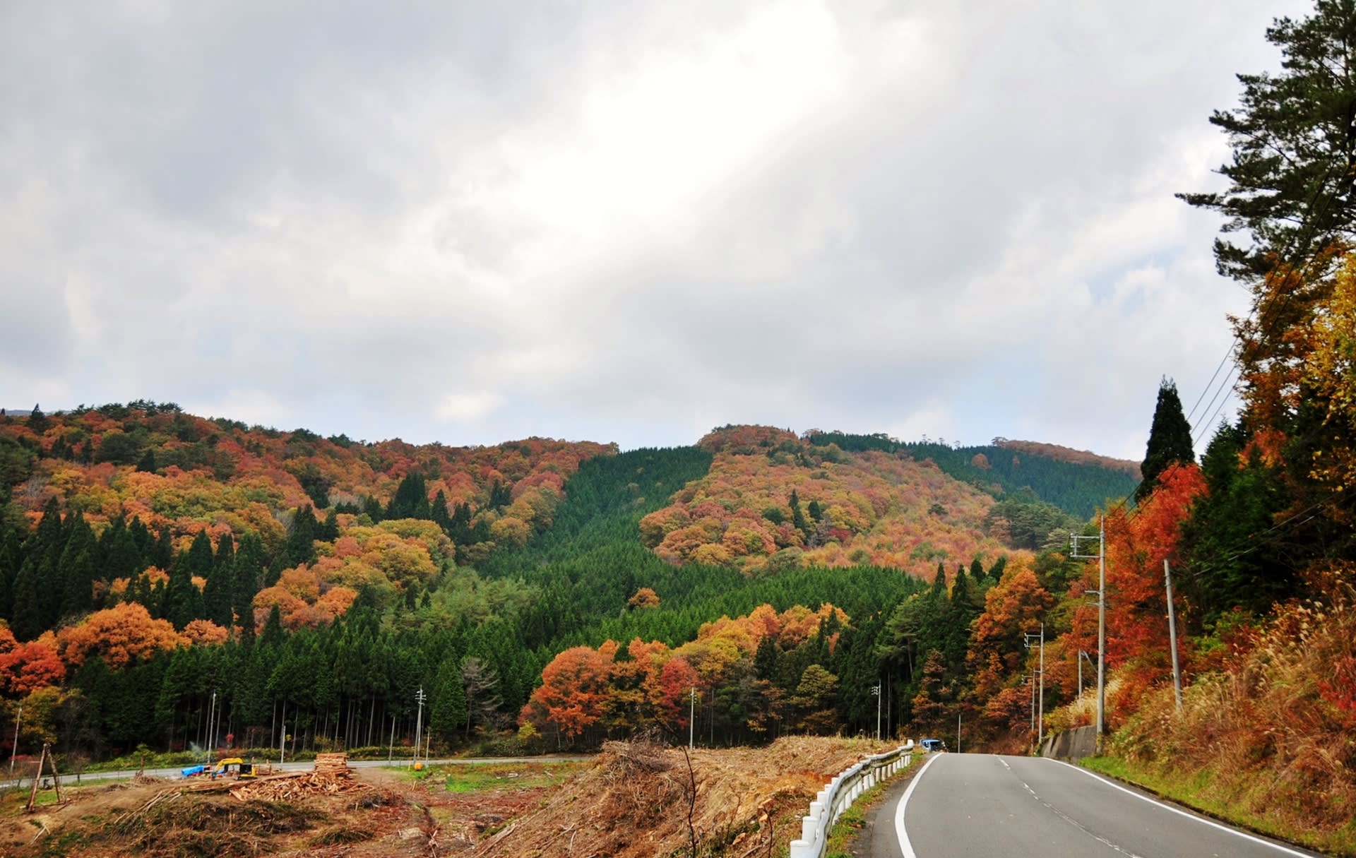 去年の秋 紅葉 中国山地 里山 綺麗な写真 日々出来事