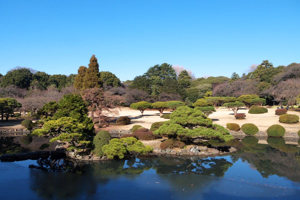 厳冬の新宿御苑 日本庭園 エリアを散策して 上の池 へ part2 緑には 東京しかない 厳冬の新宿御苑 日本庭園 エリアを散策して 上の池 へ part2 緑には 東京しかない