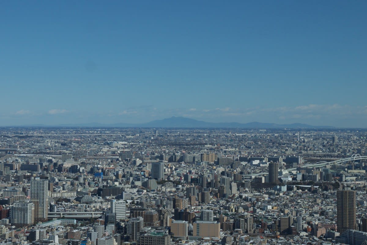 １月のサンシャイン６０ ６０階展望台から眺める東京の風景 ｐａｒｔ３ 緑には 東京しかない
