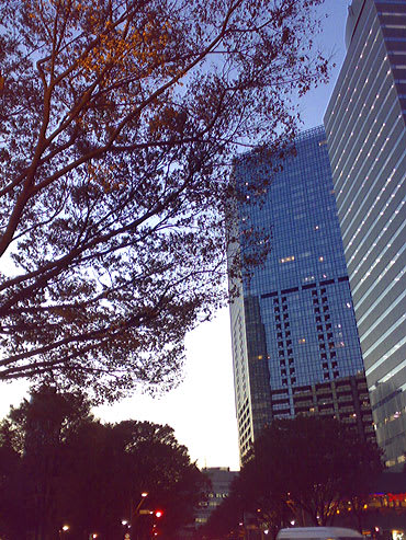Shinjyuku111216 Shinjyuku111216